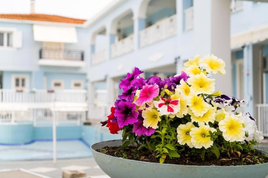 Anna'S Studios & Apartments Zakynthos Town Ngoại thất bức ảnh